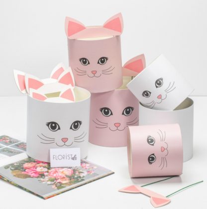 Набор боксов с топпером Kitty №1 из 3х 096904